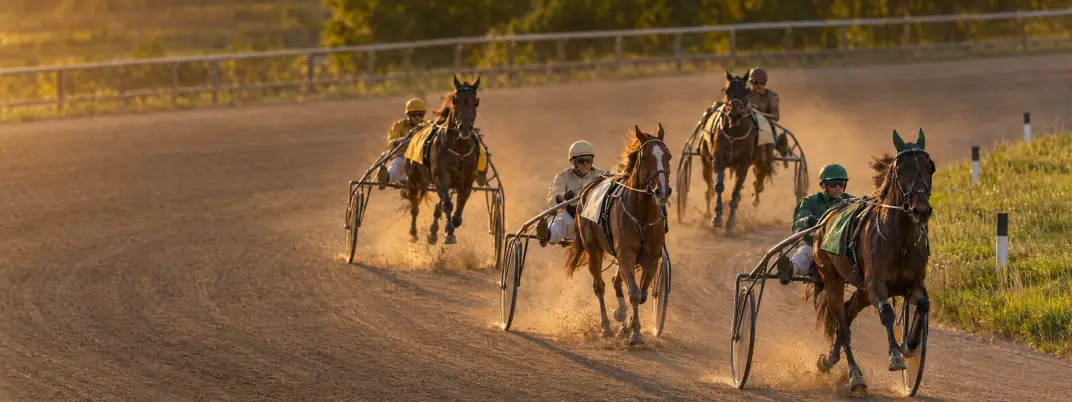 Peloton de trotteurs attelés dans le virage